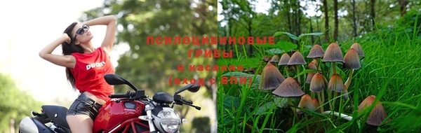 скорость mdpv Алзамай