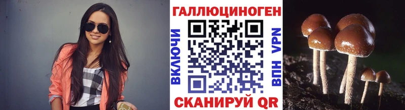 продажа наркотиков  Безенчук  Псилоцибиновые грибы Psilocybine cubensis 
